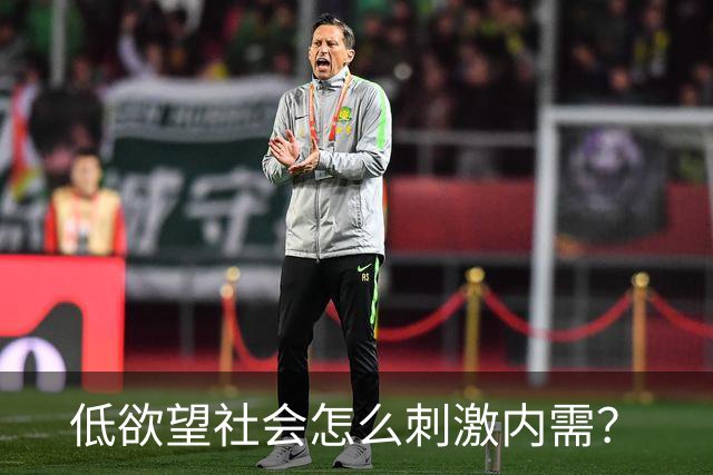 低欲望社会怎么刺激内需？