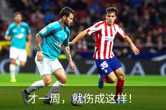 才一周，就伤成这样！