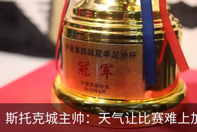斯托克城主帅：天气让比赛难上加难，0比0只能接受