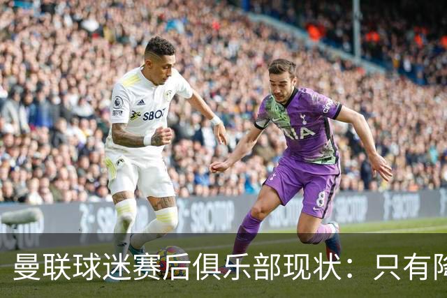 曼联球迷赛后俱乐部现状：只有降级，才能让球队重现昔日辉煌