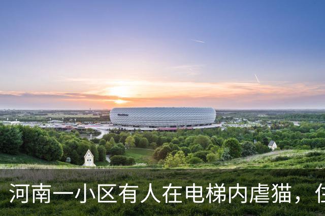 河南一小区有人在电梯内虐猫，住户称是一对母子，男子手撑电梯借力，踩踏猫身长达5分钟；警方已介入调查