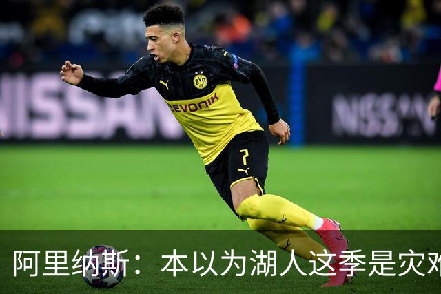 阿里纳斯：本以为湖人这季是灾难，没想到这套阵容真不错